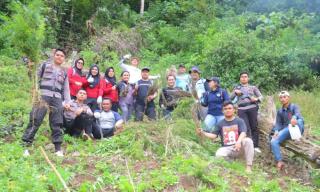 Timsus Narkoba Polda Polda Sumut dan Polres Madina Musnahkan Ladang Ganja di Bukit Tor Sihite